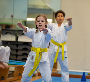 Taekwondo Beginners - Rec Center